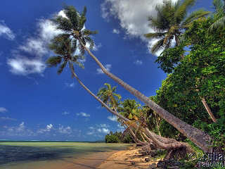 Palmenstrand auf Yap 