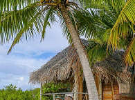 Strandbungalow im Tetamanu Sauvage 