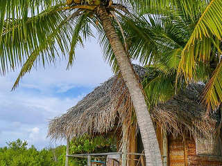 Strandbungalow im Tetamanu Sauvage 