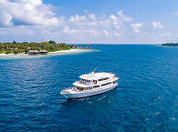 Tauchsafaris auf der Blue Shark One – Malediven