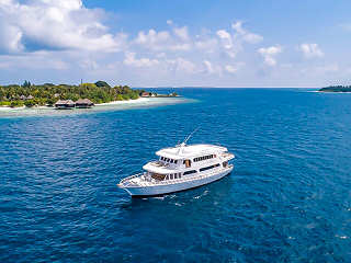 Tauchsafaris auf der Blue Shark One – Malediven