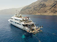 Nautilus Belle Amie · Tauchsafaris Mexico 