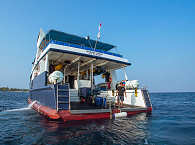 Tauchdeck des Safariboots Raja Ampat Aggressor 