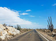 Wüstenstraße auf der Baja California, Mexiko 