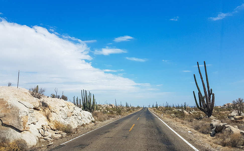 Wüstenstraße auf der Baja California, Mexiko 