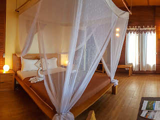 Standard-Bungalow Tompotika Dive Lodge 