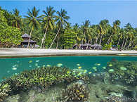 Blick aus dem Hausriff auf das Triton Bay Divers Resort 