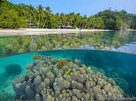 Triton Bay Divers · Tauchresort West-Papua 