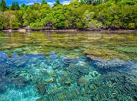 Uncover North-Sulawesi 