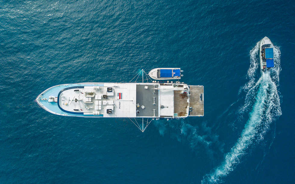 Tauchsafaris Cocos Island · Undersea Hunter Group 