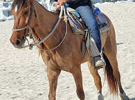 Reiter am Strand von San Jose del Cabo 