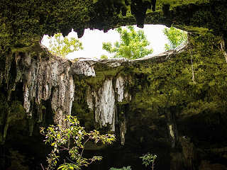 Cenote auf Yucatán 
